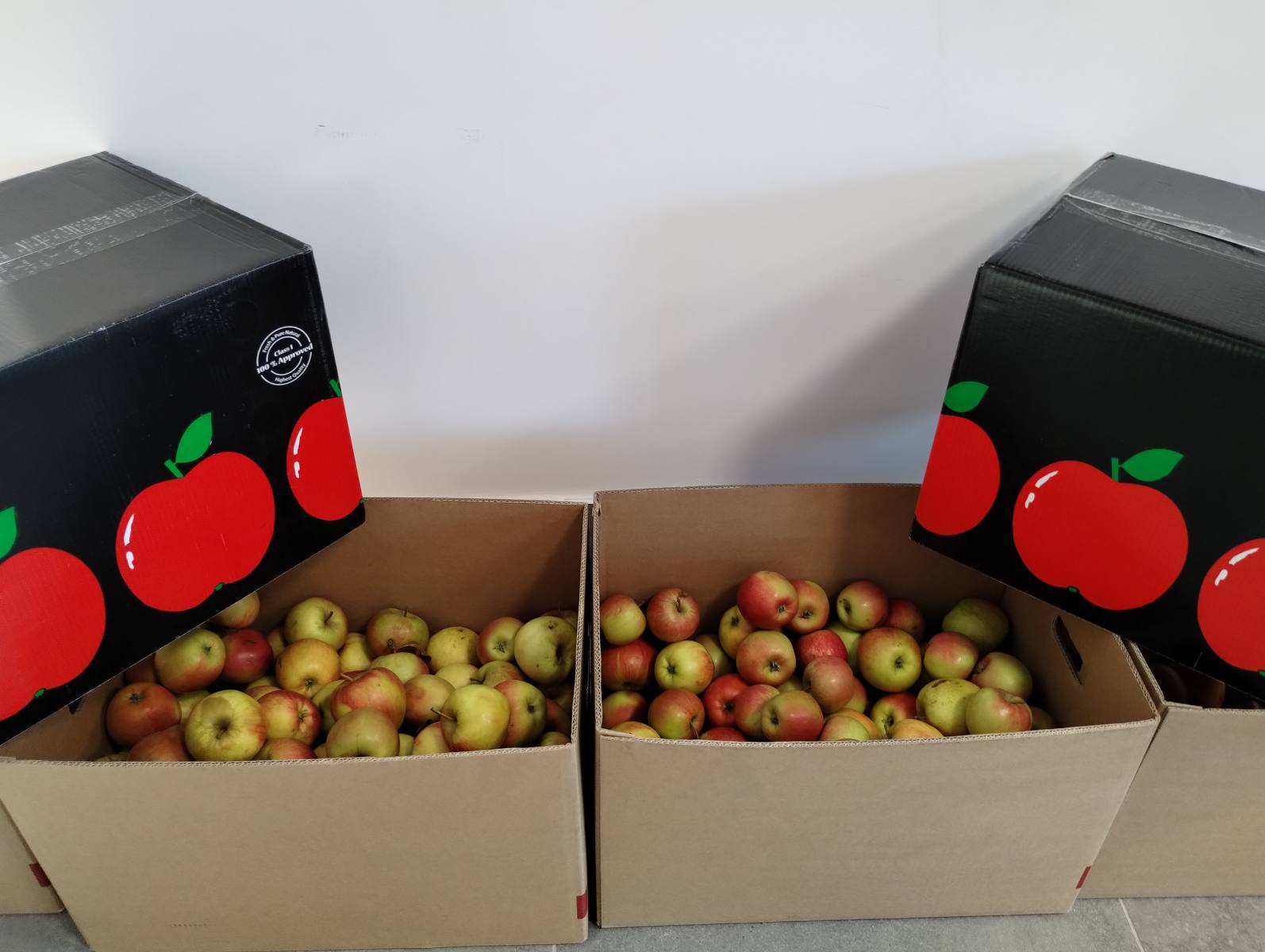 Codzienna porcja zdrowia - jabłka dla uczniów ZSZ Rawicz