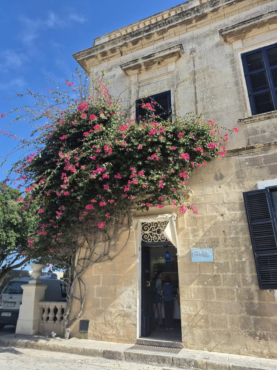 Miesiąc pełen doświadczeń, nauki i maltańskiego słońca – relacja z praktyk zagranicznych w ramach projektu „Staże zawodowe – nowe otwarcie”