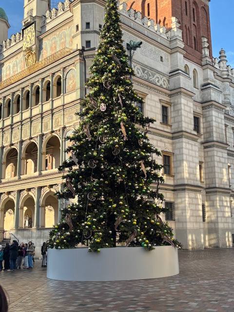 Poznań jako oblicze historyczne i ze świąteczną magią!