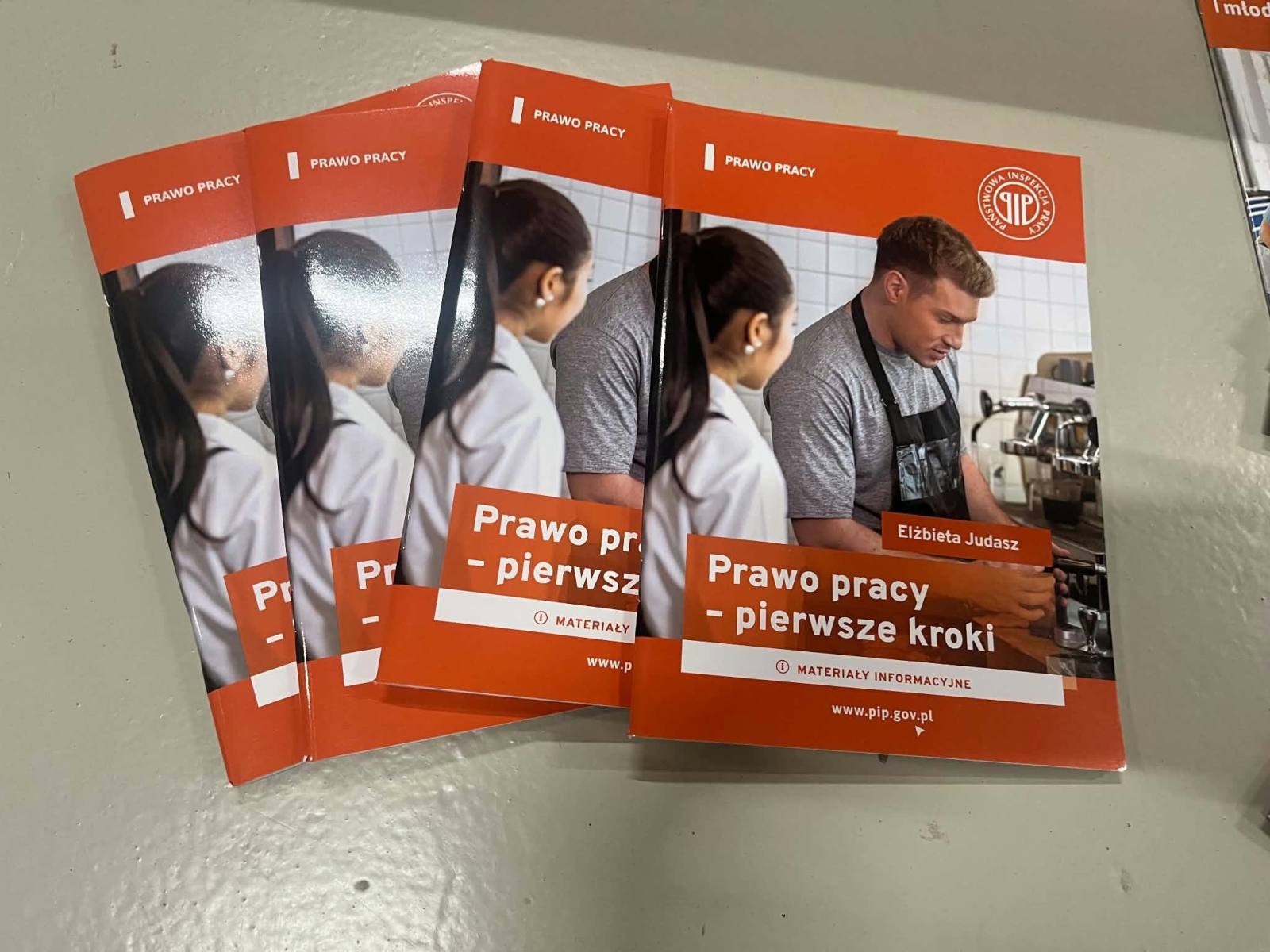 Spotkanie z przedstawicielem Państwowej Inspekcji Pracy
